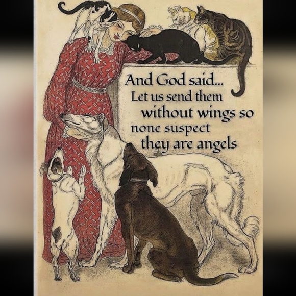 Meet your Posher, Doris - Picture 13 of 16